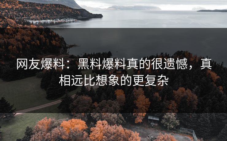 网友爆料：黑料爆料真的很遗憾，真相远比想象的更复杂