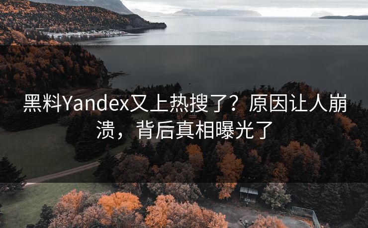 黑料Yandex又上热搜了？原因让人崩溃，背后真相曝光了  第1张