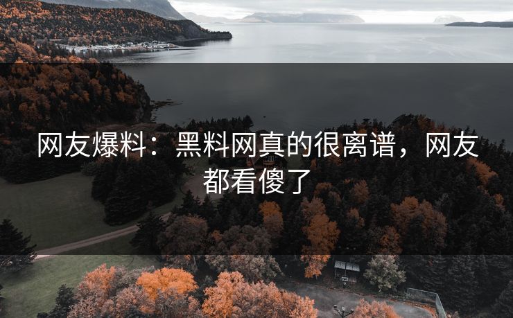 网友爆料：黑料网真的很离谱，网友都看傻了