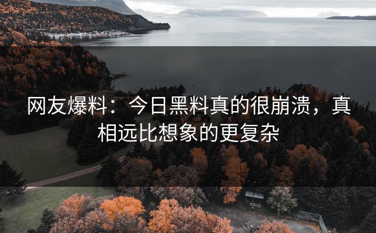 网友爆料：今日黑料真的很崩溃，真相远比想象的更复杂  第1张