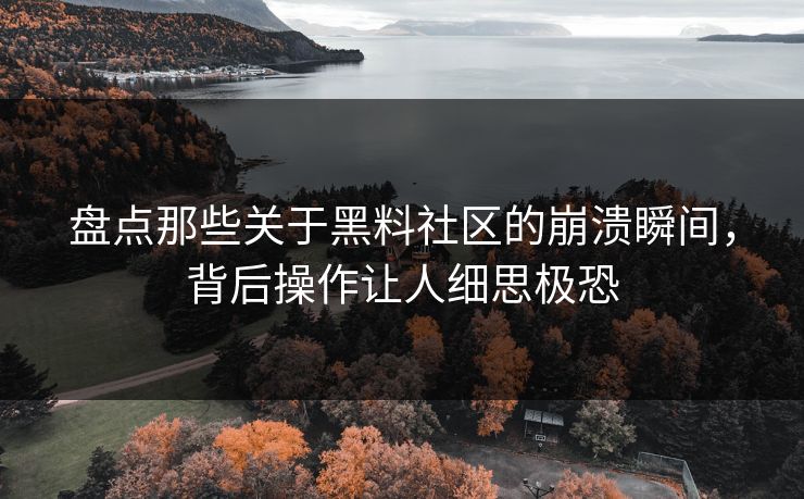 盘点那些关于黑料社区的崩溃瞬间，背后操作让人细思极恐