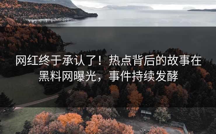 网红终于承认了！热点背后的故事在黑料网曝光，事件持续发酵  第1张