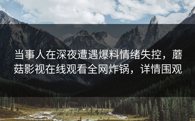 当事人在深夜遭遇爆料情绪失控，蘑菇影视在线观看全网炸锅，详情围观