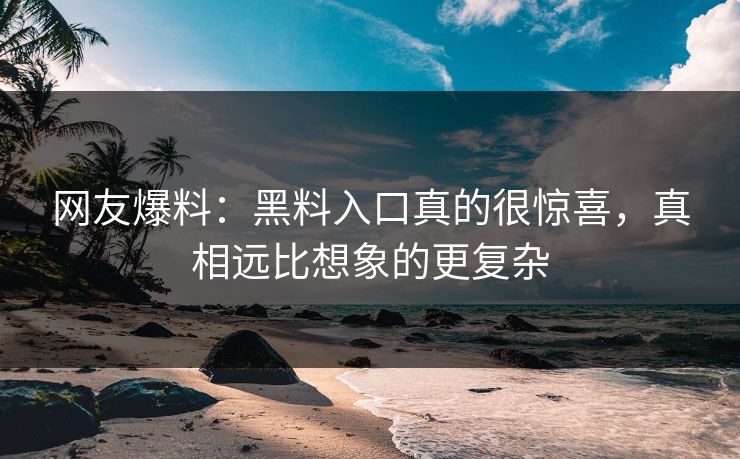 网友爆料：黑料入口真的很惊喜，真相远比想象的更复杂  第1张