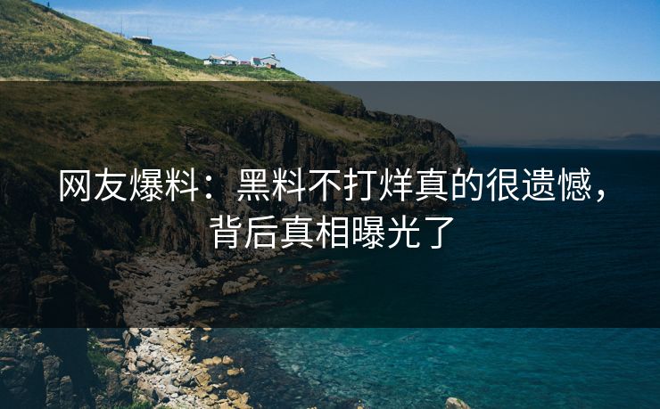 网友爆料：黑料不打烊真的很遗憾，背后真相曝光了  第1张
