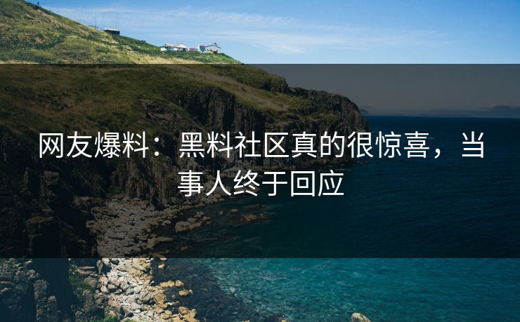 网友爆料：黑料社区真的很惊喜，当事人终于回应