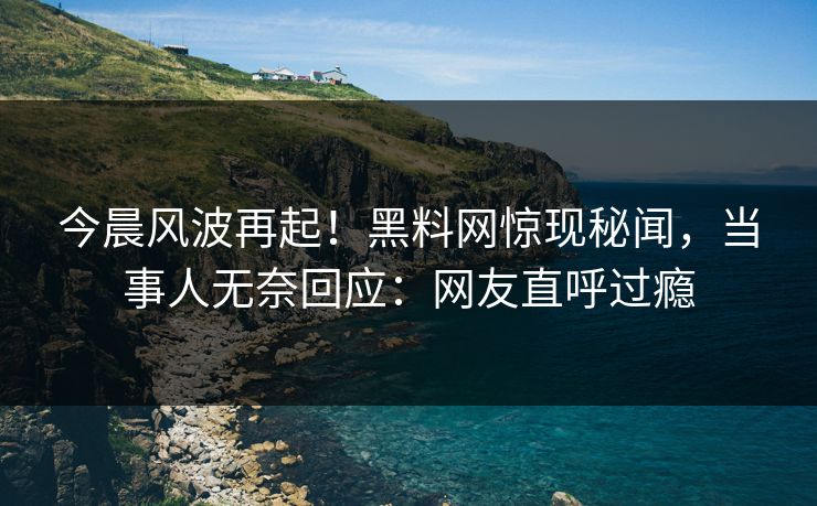 今晨风波再起！黑料网惊现秘闻，当事人无奈回应：网友直呼过瘾  第1张