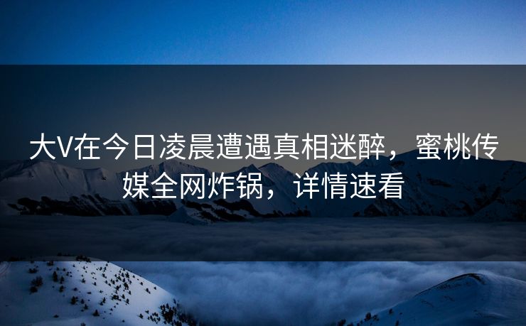 大V在今日凌晨遭遇真相迷醉，蜜桃传媒全网炸锅，详情速看  第1张