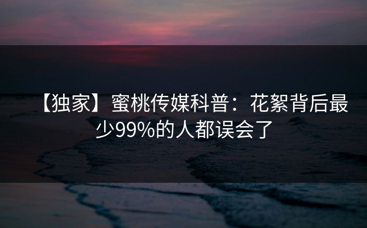 【独家】蜜桃传媒科普：花絮背后最少99%的人都误会了
