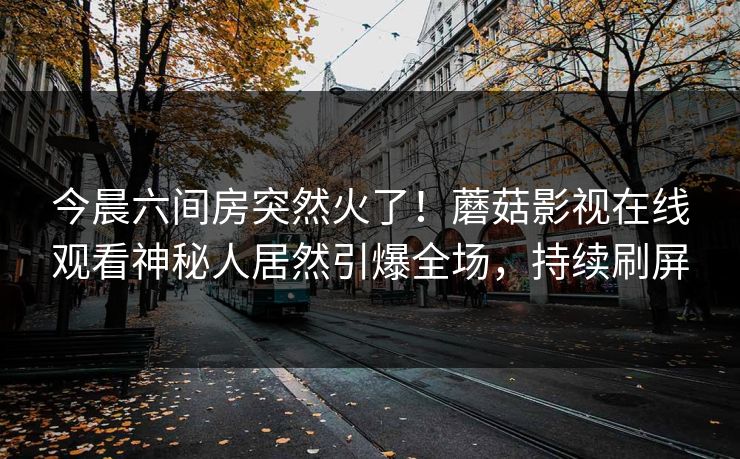 今晨六间房突然火了！蘑菇影视在线观看神秘人居然引爆全场，持续刷屏