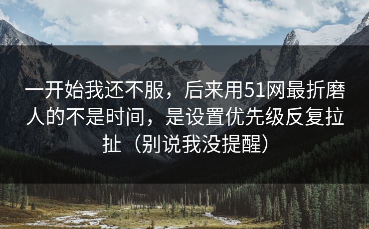 一开始我还不服,后来用51网最折磨人的不是时间,是设置优先级反复拉扯(别说我没提醒)